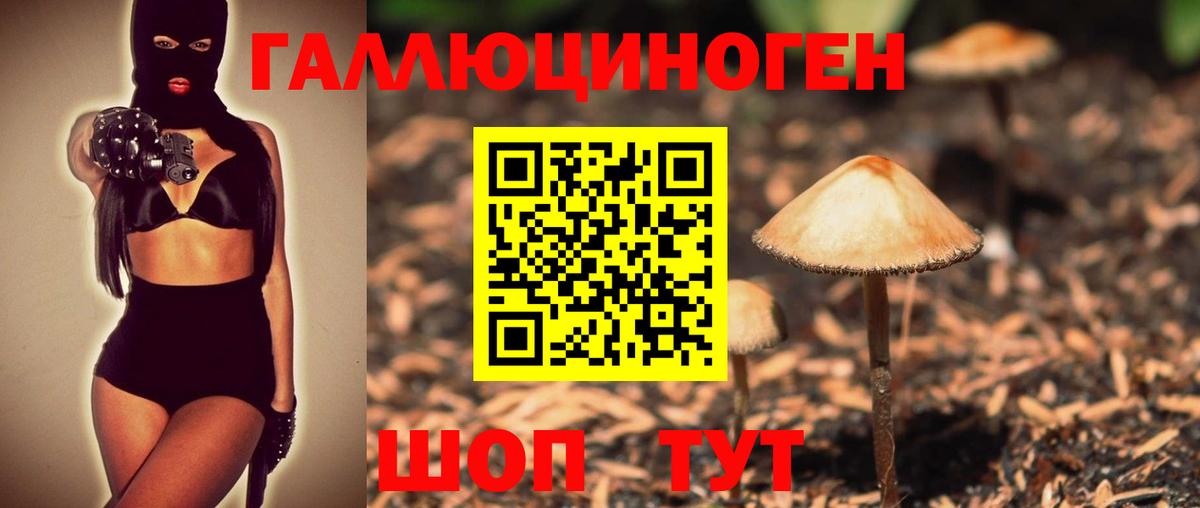 Галлюциногенные грибы GOLDEN TEACHER  Галлюциногенные грибы Psilocybine cubensis  Вход с VPN  Белогорск 